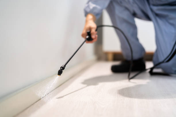Professional exterminator conducting IPM assessment in Brewerton