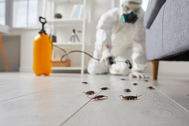Post-Treatment Bed Bug Interceptor Monitoring in Brewerton