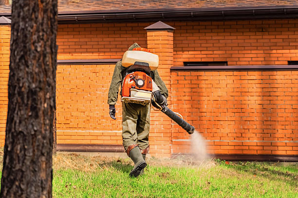 Bed Bug Clearance Verification and Documentation in Brewerton
